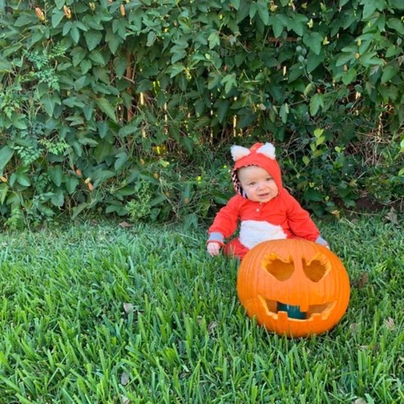 Meet your Posher, Sunni - Picture 1 of 1